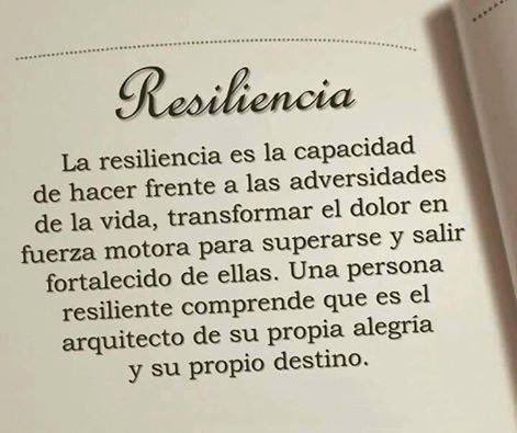 Resiliencia: las personas capaces de renacer luego de una adversidad