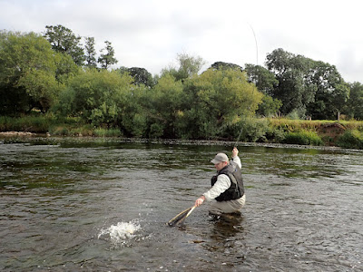 An Eden trout comes to the net