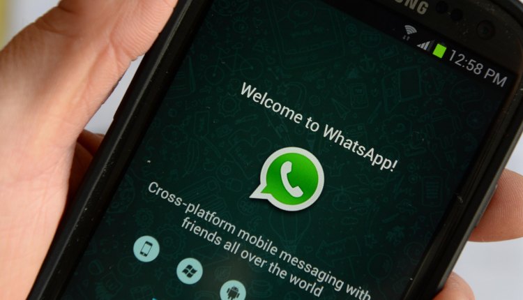 Update whatsapp menghadirkan fitur pinned chat