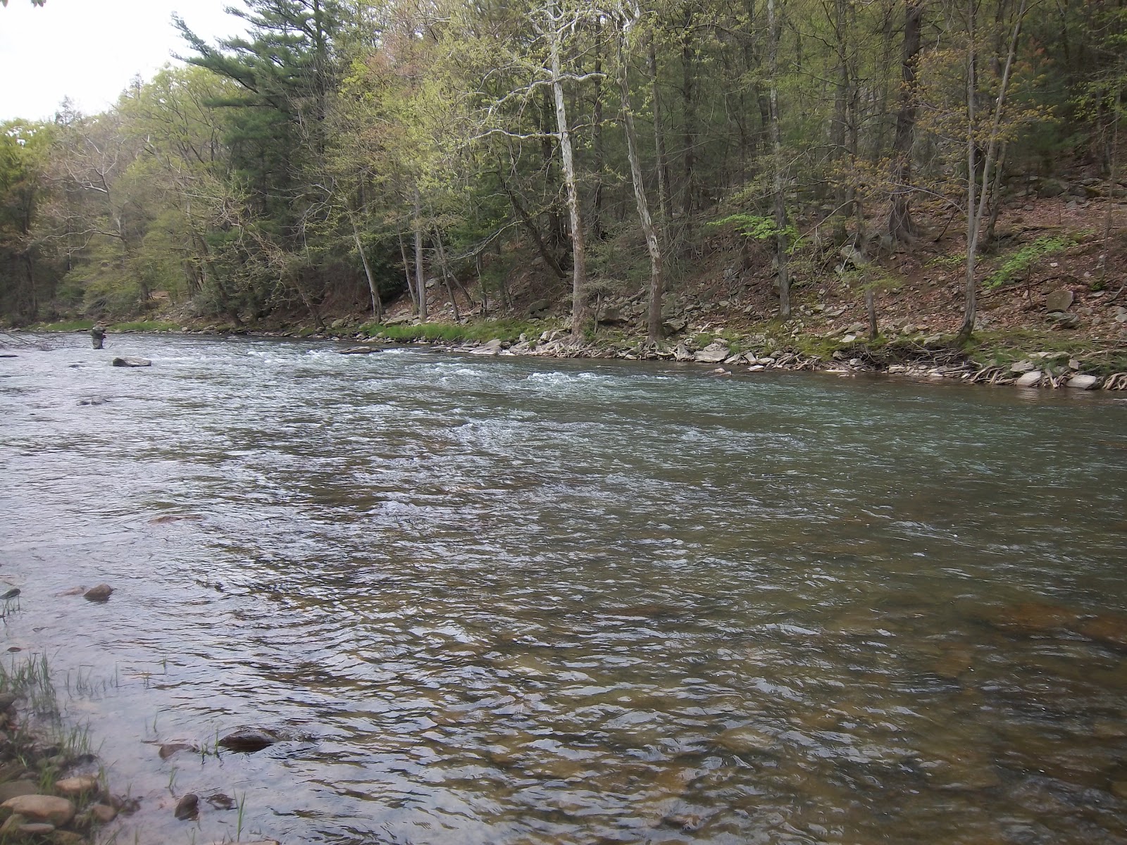 Grobe Anglers And Adventures Penn's Creek Fishing Report 42812