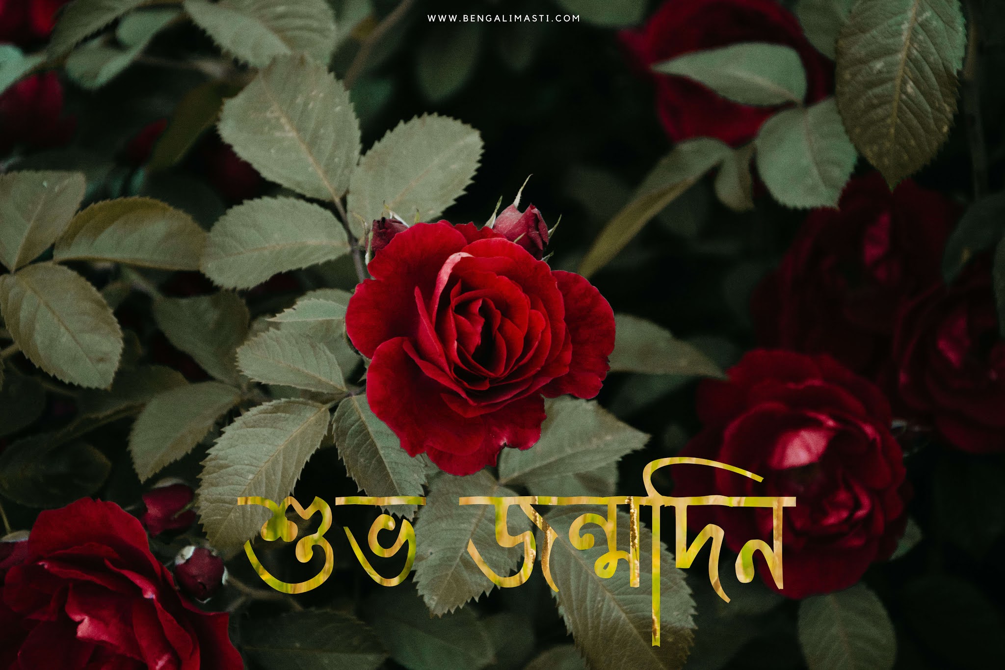 Bengali Happy Birthday Wishes