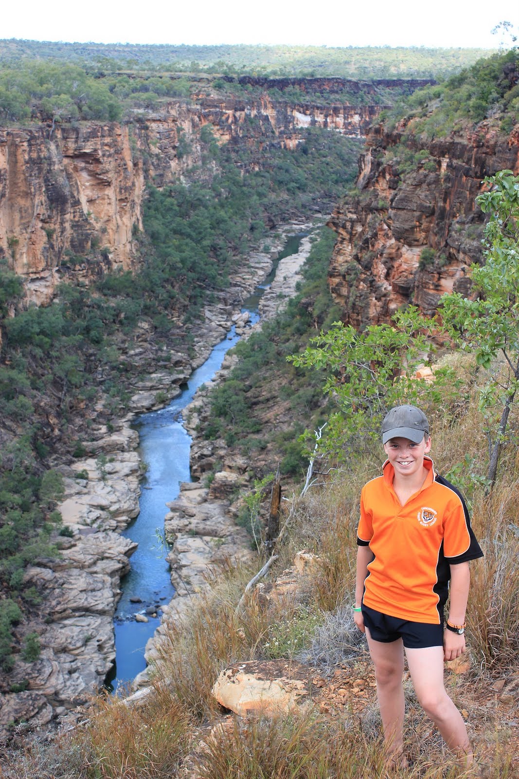 Kelso's Great Aussie Adventure Porcupine