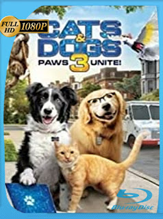 Como perros y gatos 3: ¡Todos a una! (2020) HD 1080p Latino [Google Drive] Panchirulo