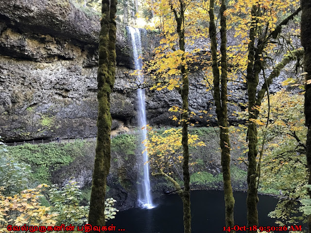 Silver Falls State Park Silverton Oregon