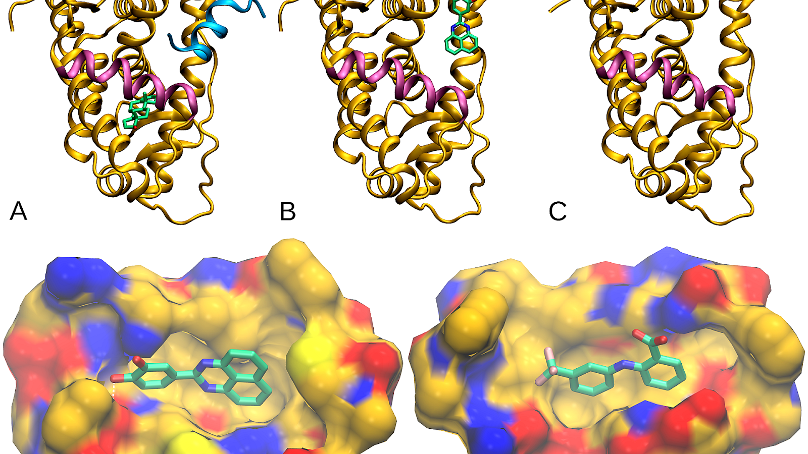 Protein Ligand Interactions