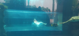 Atlantis Aquaventure de Dubái, Emiratos Árabes Unidos.