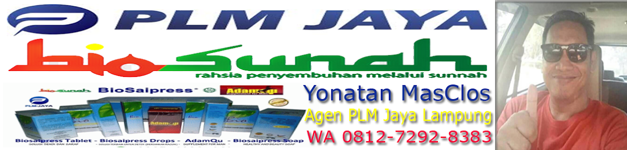 BISNIS PLM JAYA