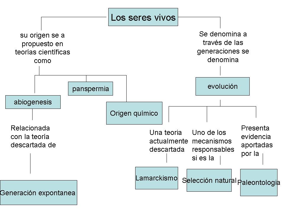 La Evolucion De Los Seres Vivos