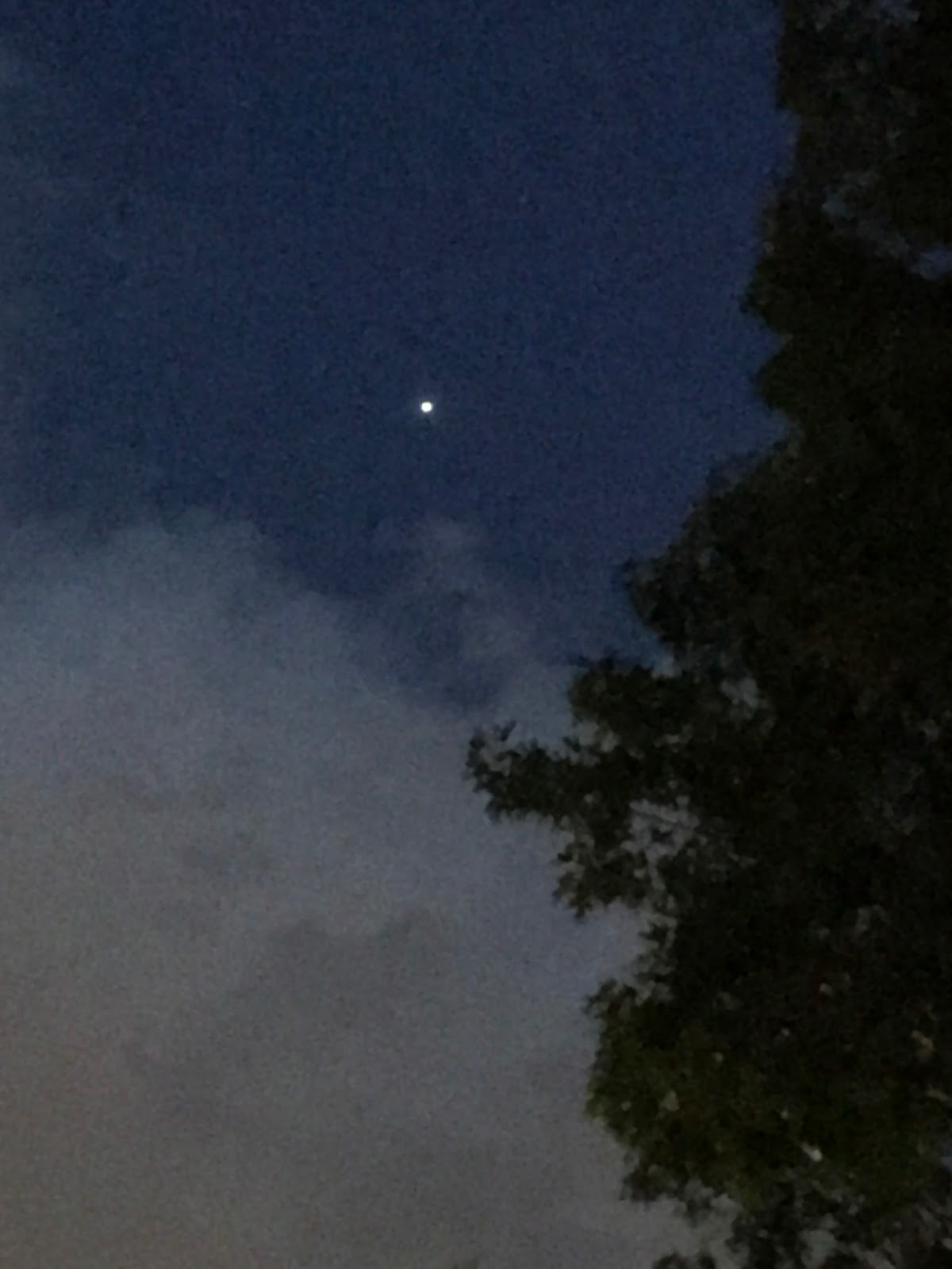 Mrs. Cicione's Science Site: May 2017