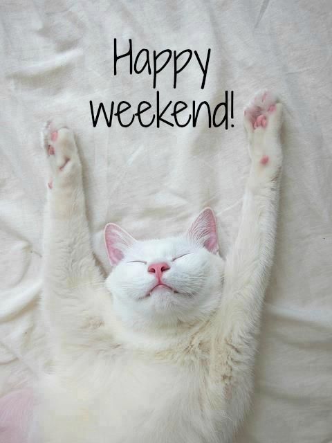 Καλό Σαββατοκύριακο!... - press4dogs.com