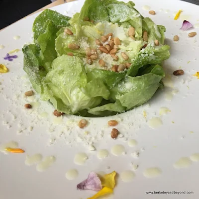 living butter lettuce at Belotti Ristorante in Oakland, California