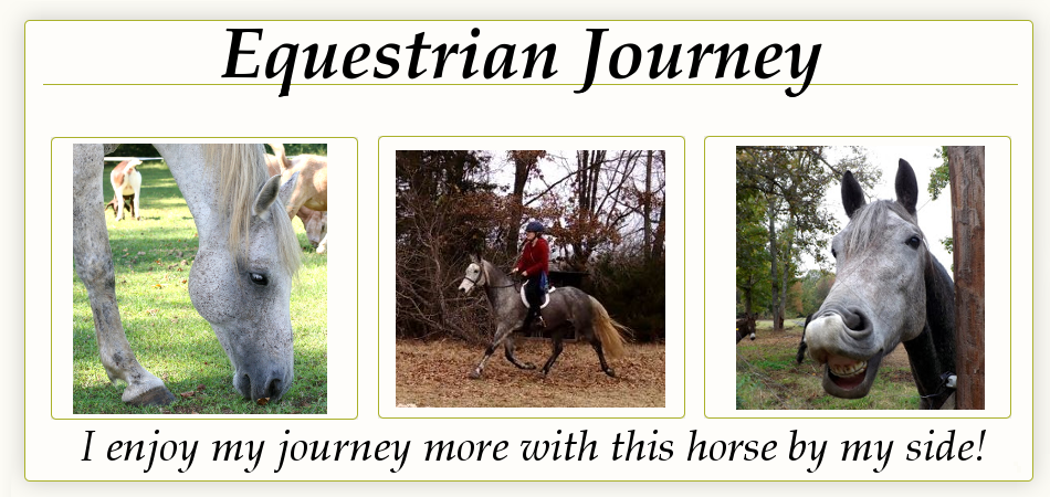 Equestrian Journey