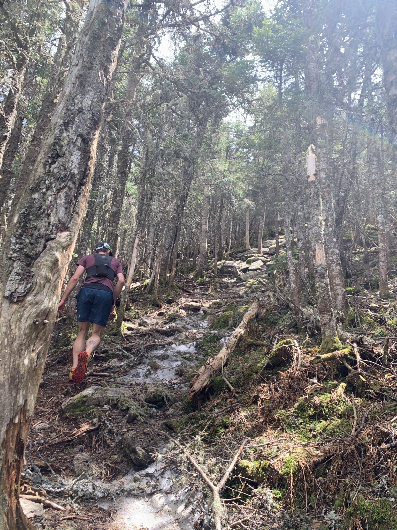 JCXC NH 4K Mount Tecumseh via Mount Tecumseh Trail (Tripoli Road)
