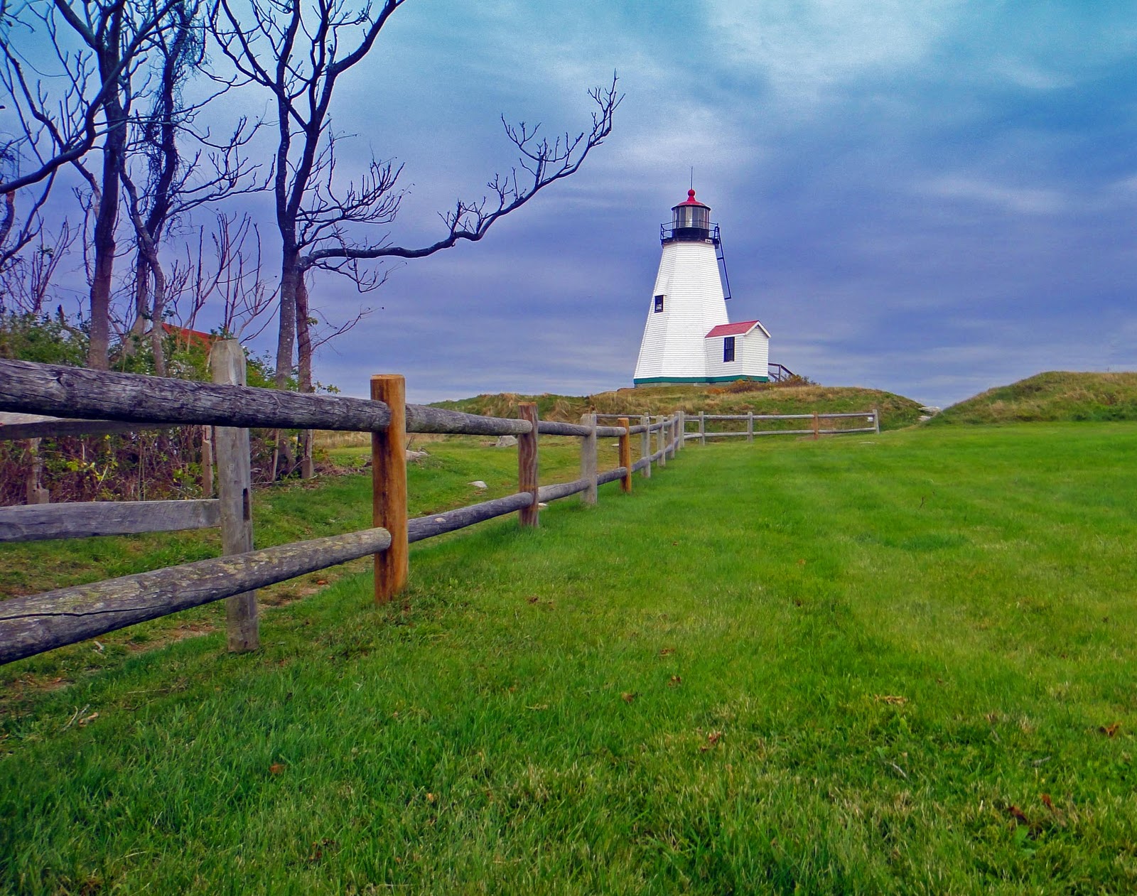 Joe's Retirement Blog A Snowy Owl at Duxbury Beach, Duxbury