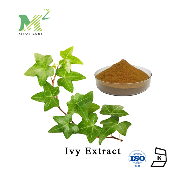 Buy Natural Hedera Helix (IVY) Extract For Cellulite in Cosmetics From