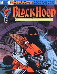 The Black Hood (1991) Comic