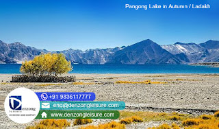 Pangong Lake Camp Stay Tour 