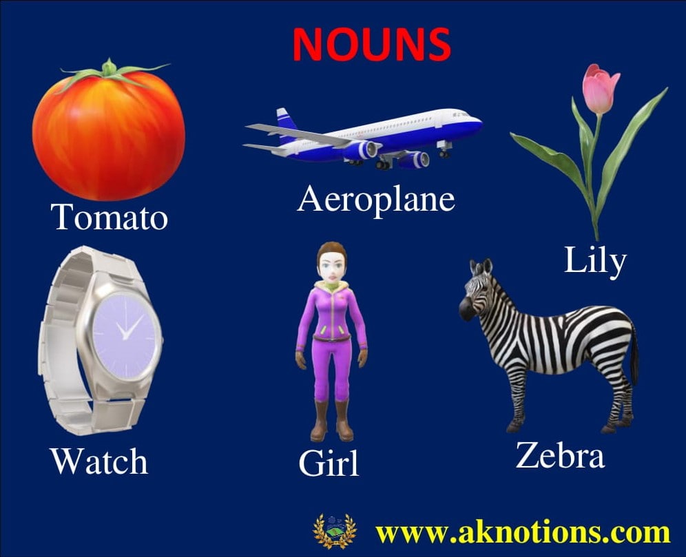The Noun Type of Nouns