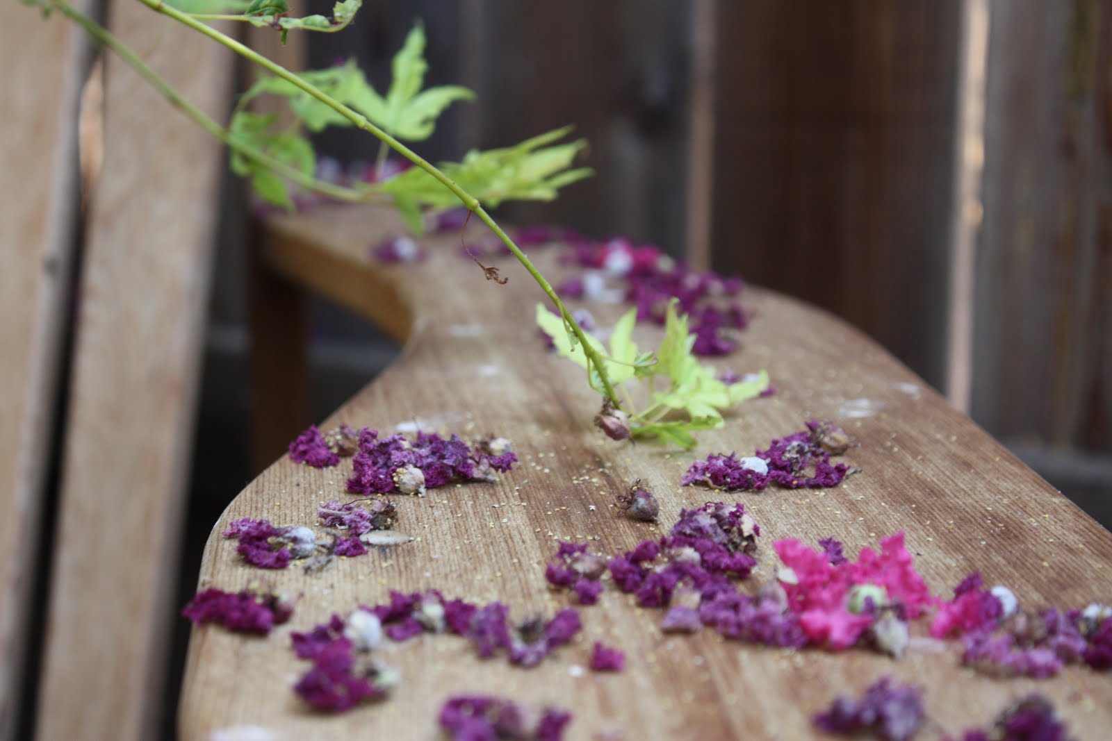 Me So Thorny Seasonal Vertigo