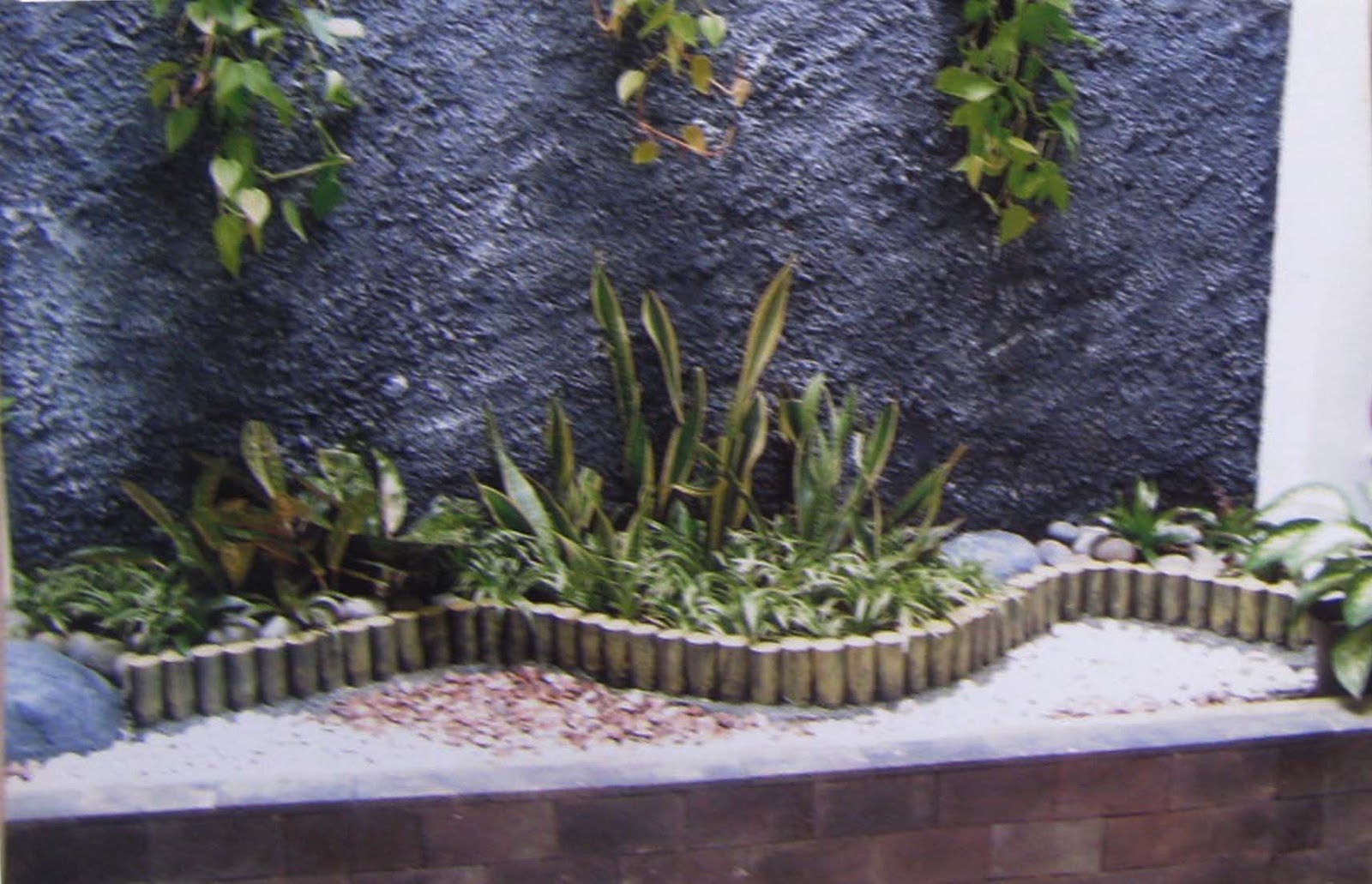 Taman, Tanaman Hias, Kolam Batu Alam, Saung dan Gazebo: TAMAN KOLAM