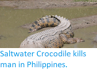 http://sciencythoughts.blogspot.co.uk/2018/02/saltwater-crocodile-kills-man-in.html