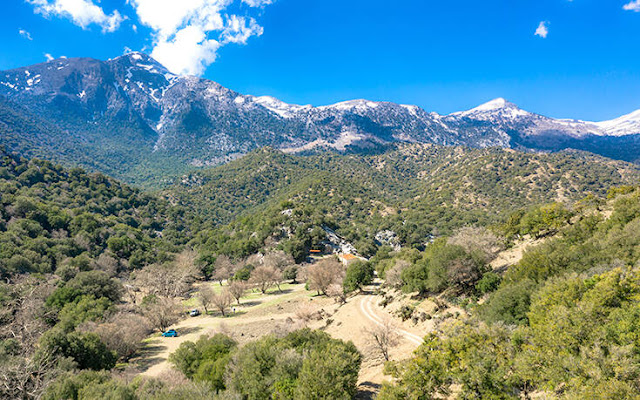 to-dasos-royva-stin-kriti-me-tin-eyropaiki-protia