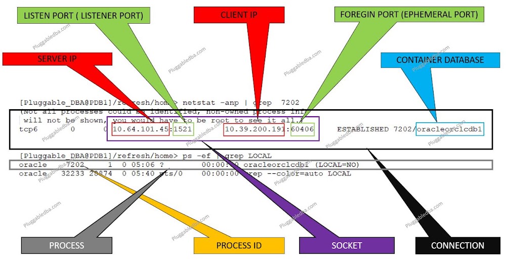 Jot ID 00016.1 Generic Connections > Processes and Sessions in