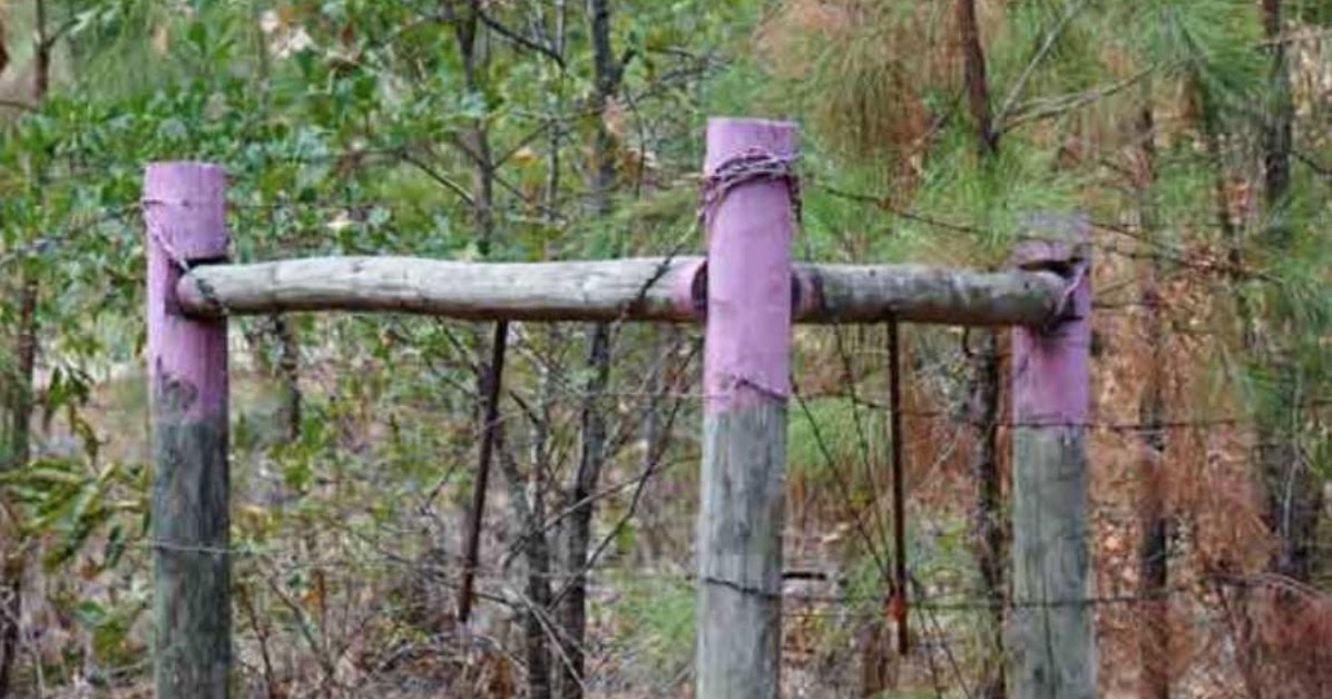 PA Environment Digest Blog Game Commission Purple Paint Means No