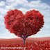 Download Love Dp For Whatsapp
