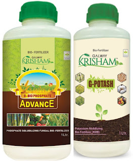 galway krisham product training Galway krisham Product