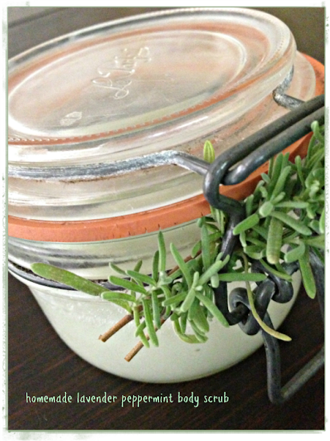 lavender peppermint body scrub