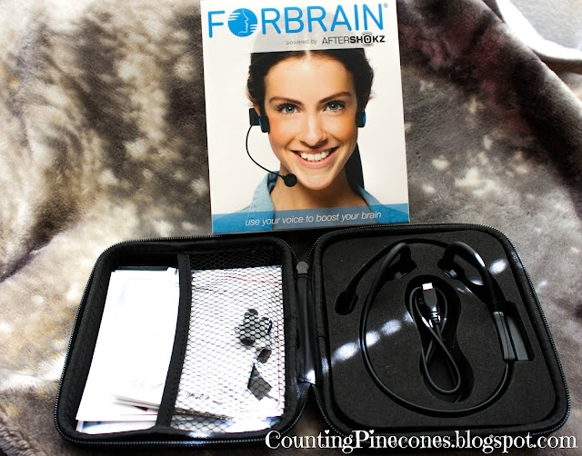Forbrain, language difficulties, auditory processing disorder, bone conduction headset