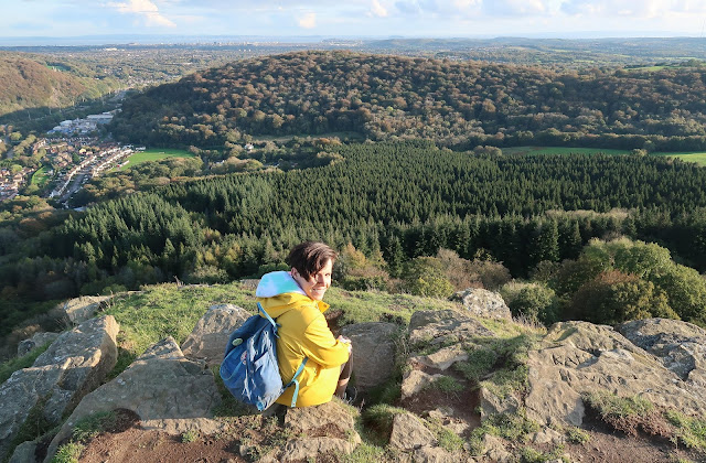 Welsh mountain 