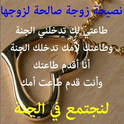shof_3fa5e5b3286fb78