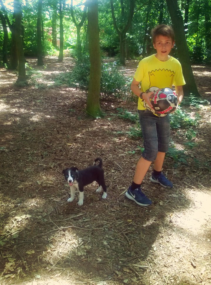 Walkies With Our Border Collie Walkies With Our Border Collie