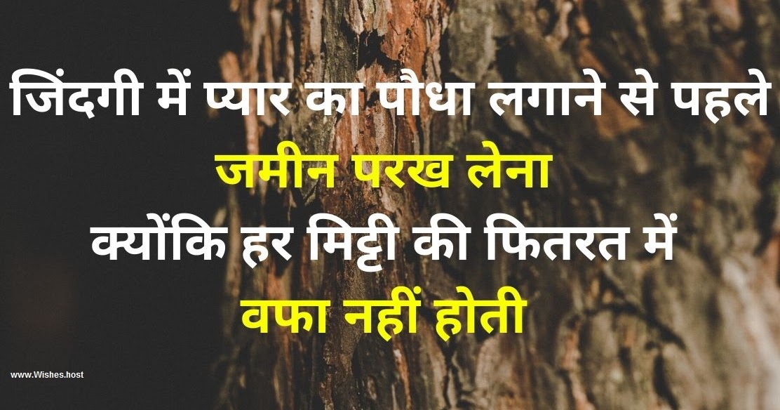 Wishes Dard Bhari Dosti Shayari Image Dosti Sad Shayari Image Download Steamy dreamy milf catalina cruz dp airtight pleasure threeway. wishes dard bhari dosti shayari image