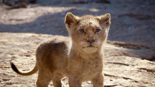 El Rey León (2019)