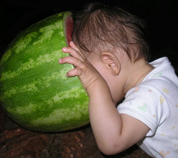 watermelon-carpouzi.jpg