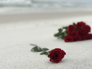 cuento Alfonsina Storni rosas en el mar arena sueño