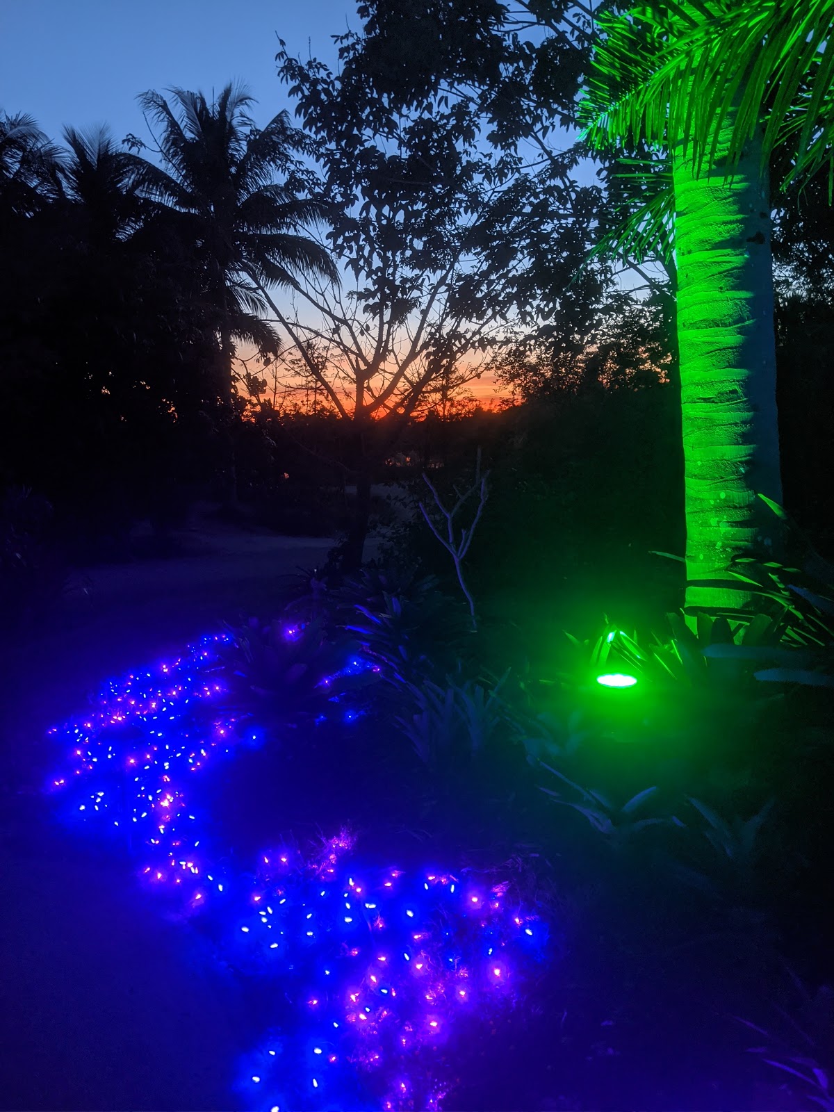 Bird & Travel Photos, Birding Sites, Bird Information SUNSET AT NIGHT