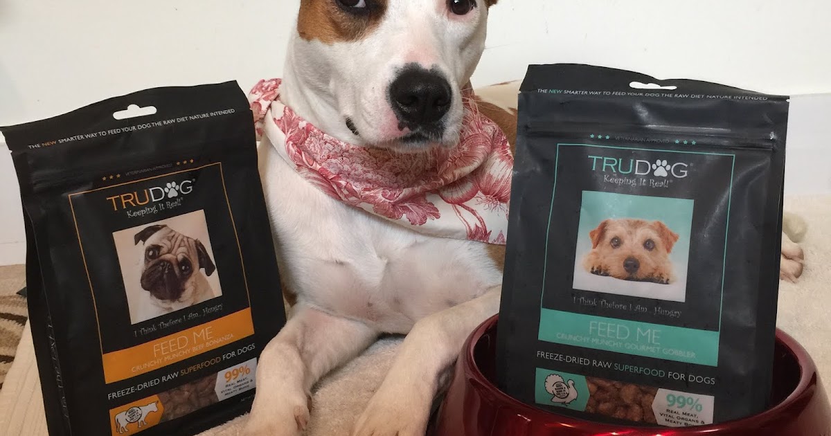 Roxi Foster Dog Adding Raw to kibble as a healthy booster.