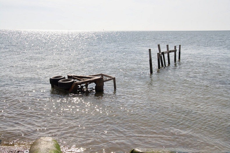 Deserted Places Holland Island in the Chesapeake Bay