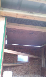 coop chicken cloth hardware ever simple plywood open ain easy