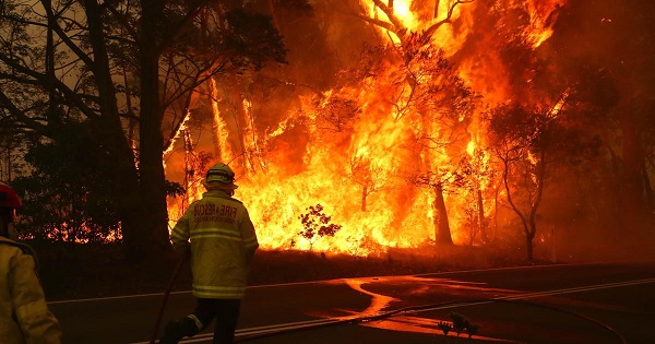 يوبيسوفت تتبرع بمبلغ ضخم لأستراليا بسبب كارثة حرائق الغابات 