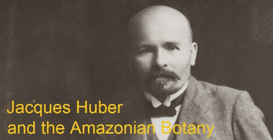 Jacques Huber and the Amazonian Botany