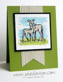 VIDEO: In the Meadow Deer Card with Watercolor Block Background #stampinup 2016 Occasions Catalog www.juliedavison.com