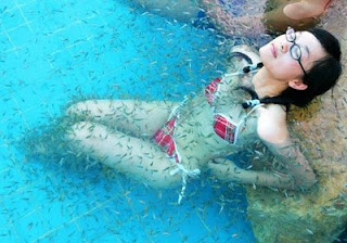 Voluptates repudiandae kon