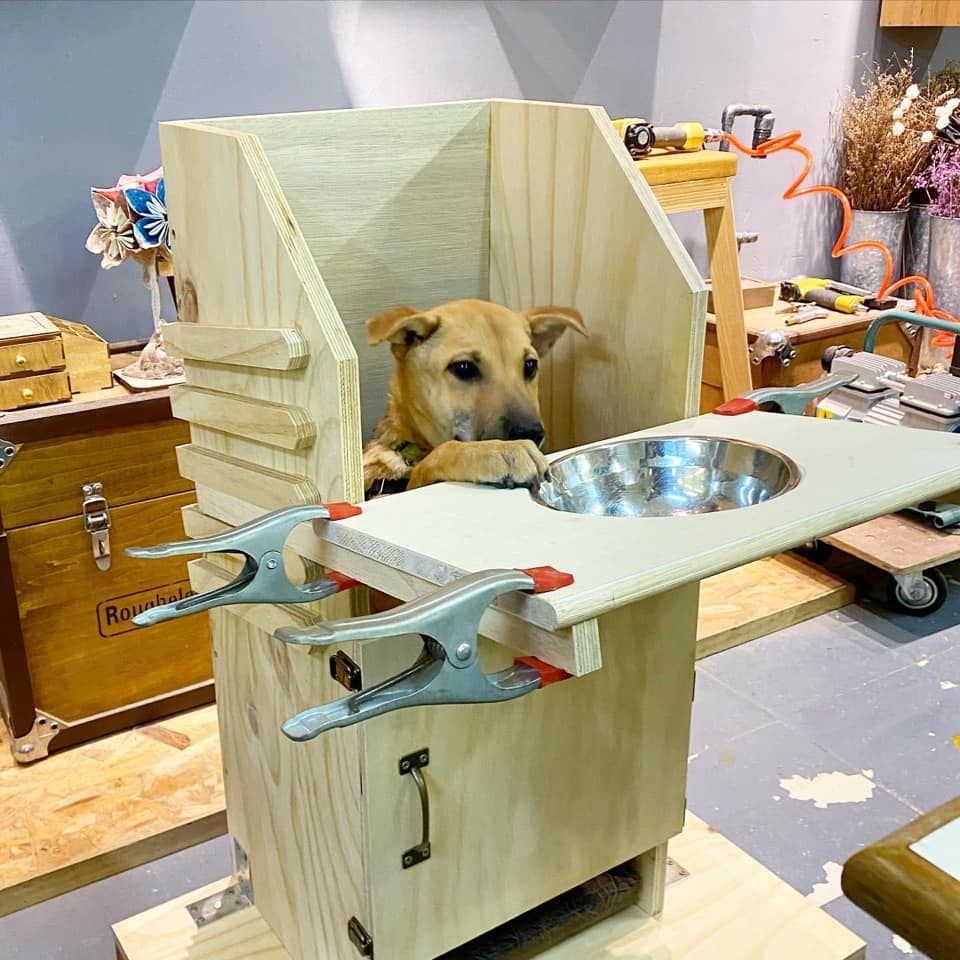the bailey chair
