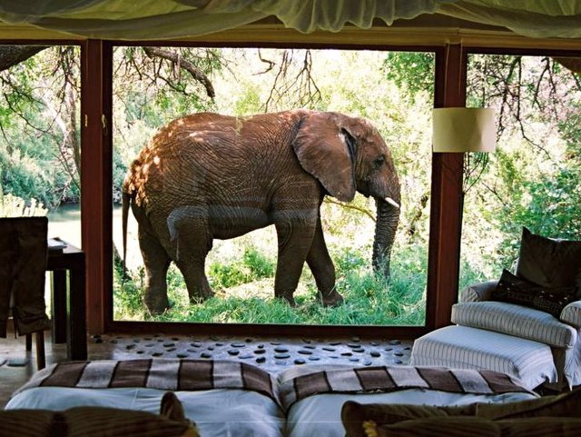 Makanyane Safari Lodge, South Africa
