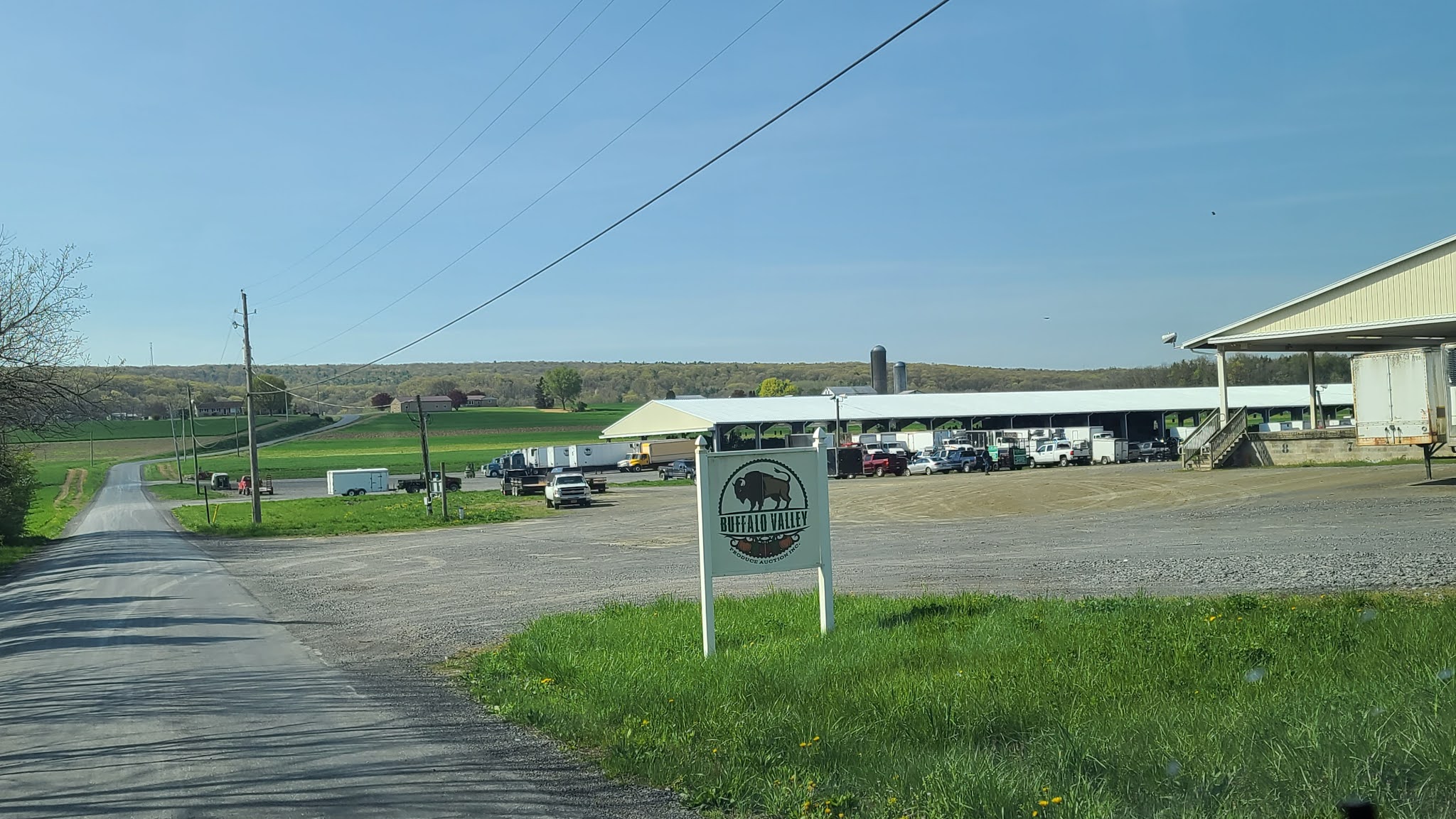 Valley Girl Views Buffalo Valley Produce Auction Where Farmers